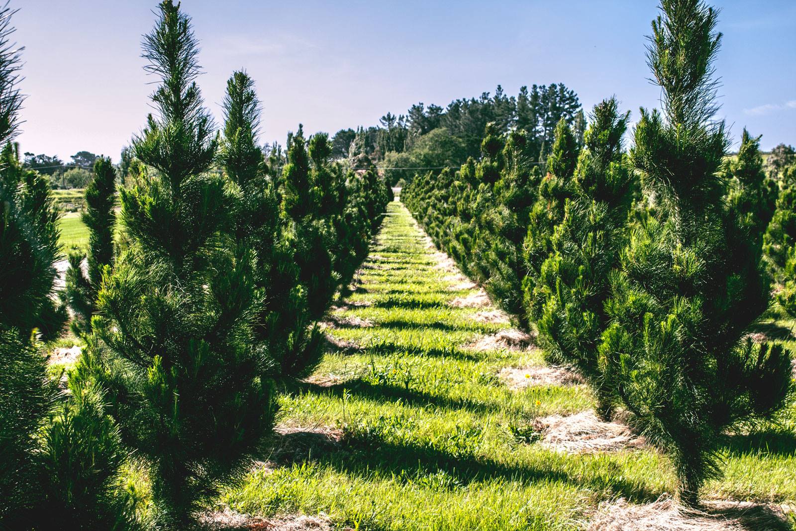 10275340 1536888296550026 470360535804825068 o